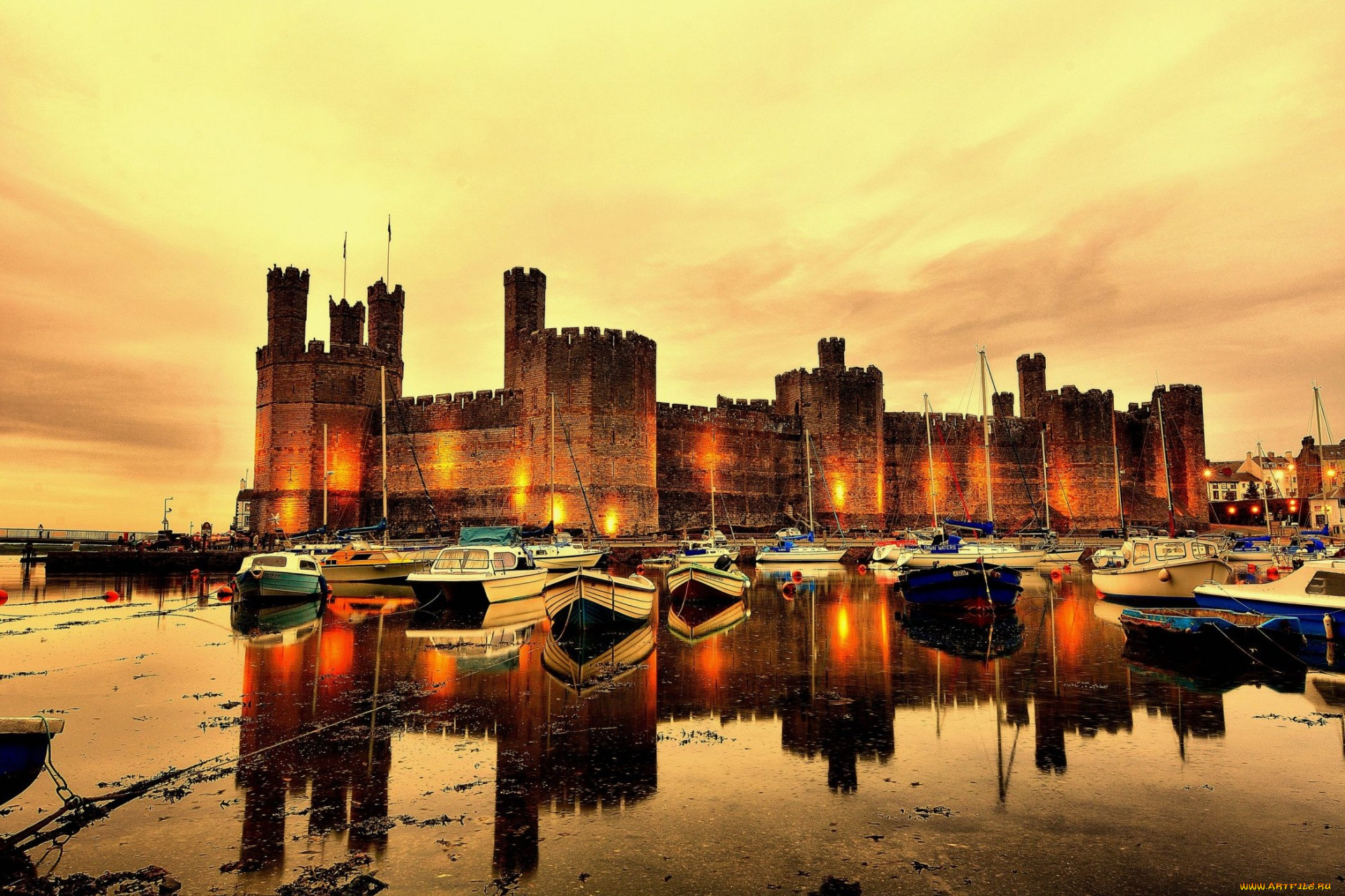 caernarfon castle, ,  , caernarfon, castle